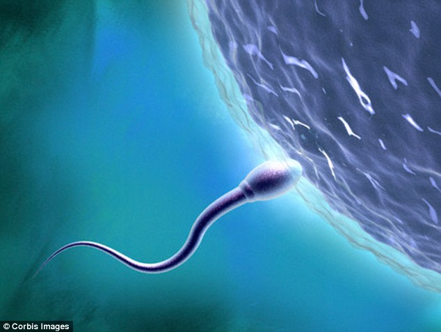 La-barbatii-in-varsta-sperma-are-calitate-mai-slabă