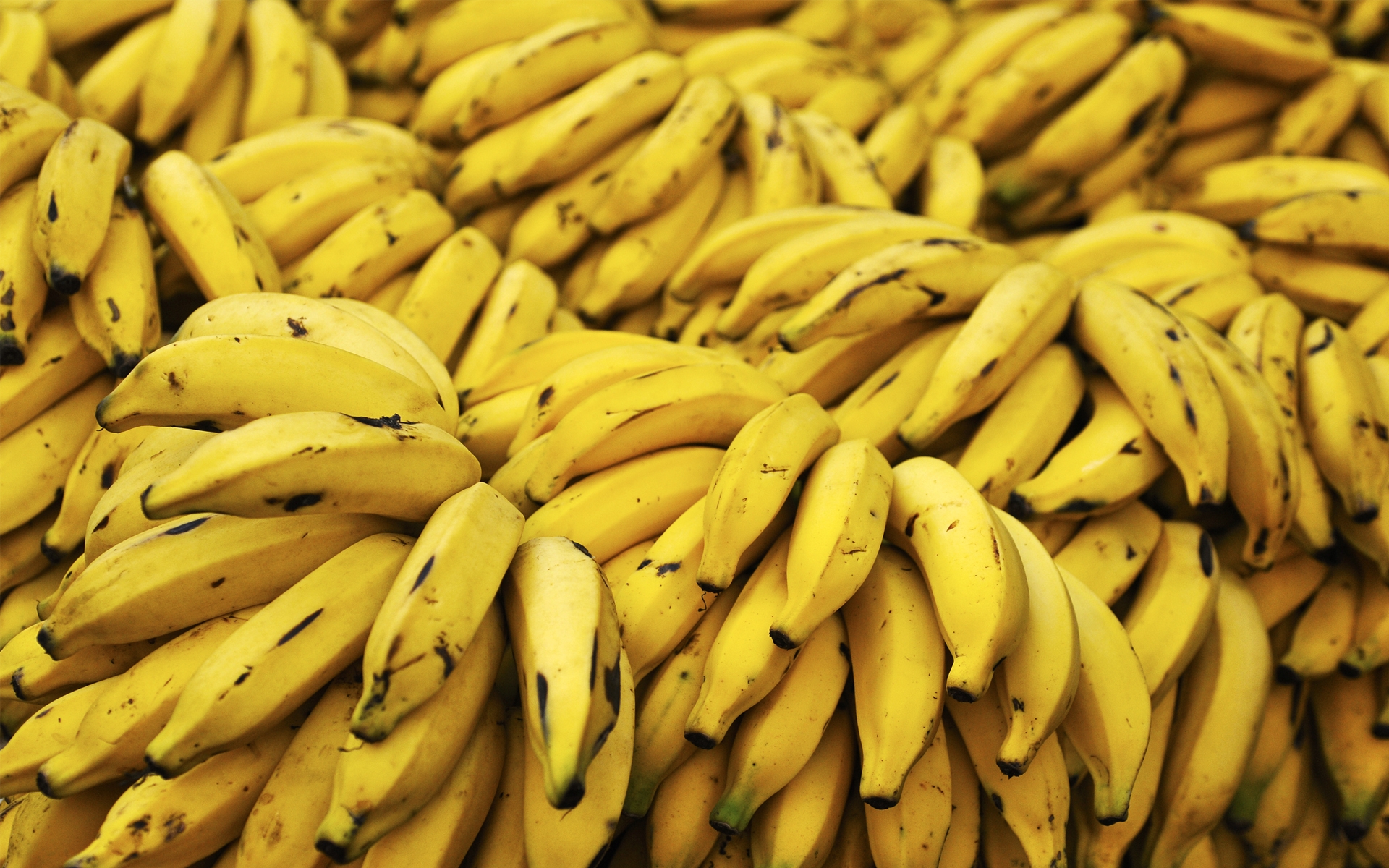 Banane modificate genetic, bogate in vitamina A